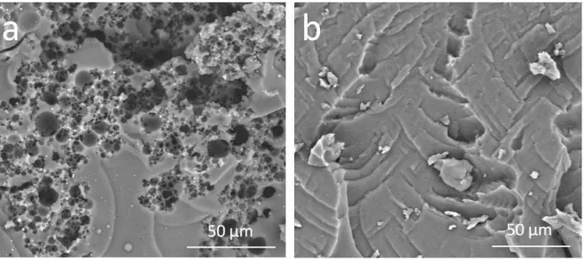 Figure  5  –  Scanning  electron  microscopy  (SEM)  images  of  dry  bulk  samples  obtained  with  Silube (a) and OH457 (b) surfactant