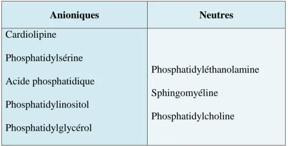 Tableau II : Les phospholipides cibles des aPL  [13] . 