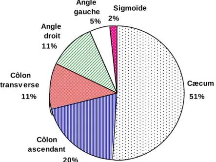 Fig. 4 : Différents niveaux atteints en cours de coloscopie   (d'après JETMORE et coll