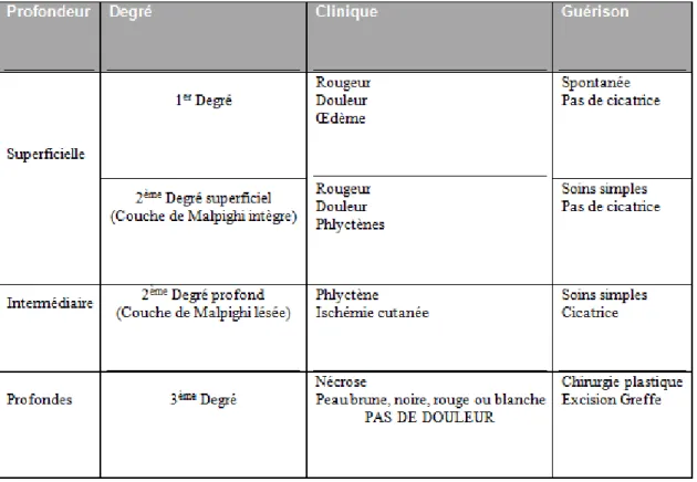 Tableau III : la gravité de la brulure selon la profondeur (20) 