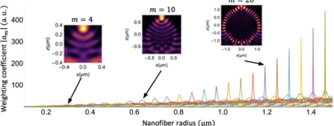 Fig. 5. Weighting coefficients | a m | of gallery modes TM 0m G excited inside the nanofiber;