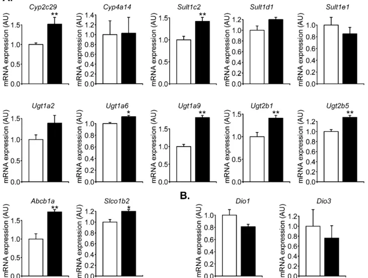 Fig. 5. Effect of ﬁpronil on mRNA expression of genes involved in the metabolism or transport of xenobiotics and endogenous compounds in mouse liver