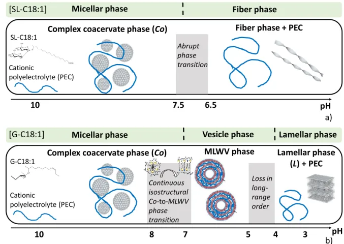 Figure 8 – Summary of the pH-driven phase transitions of (a) SL-C18:0 and (b) G-C18:1 lipids alone and  in the presence of PLL polyelectrolyte in water at room temperature and C&lt; 1 wt%