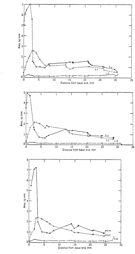 Fig.  XXIII-4. Cross-sectional  areas  of  the  cochlear  passages.