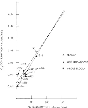 Fig.  X-3.  Oxygen  consumption  and  sodium  reabsorption  of  perfused  kidneys.