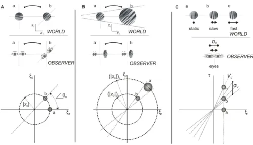 Figure 1: Parameterization of the class of Motion Clouds stimuli. The illustration relates the parametric changes in MC with real world (top row) and observer (second row) movements.