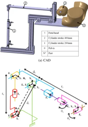 Fig. 2: Comparison between simulated trajectory of the fetal head center and the shape of sacrum measured on a manikin Fig