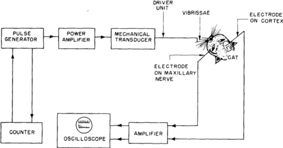 Fig.  XVI-1.  Block  diagram  of  experimental  apparatus.  The  driver  unit  is controlled  by  a  power  amplifier  (18-watt  output)  that  receives single  pulses  or  trains  of  pulses  from  a  pulse  generator
