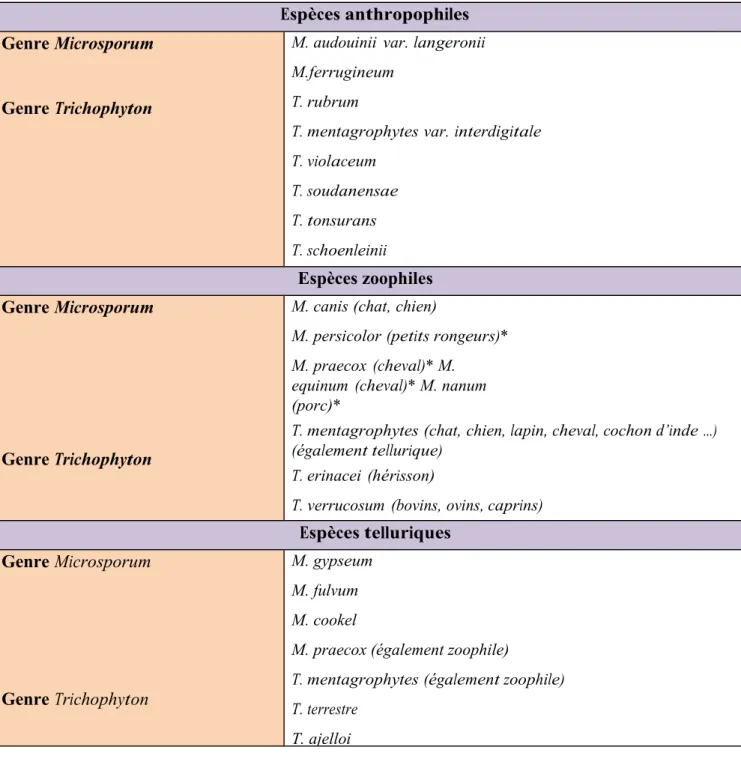 Tableau 1: Les différentes espèces de dermatophytes responsables des teignes du cuir chevelu [8, 16] 