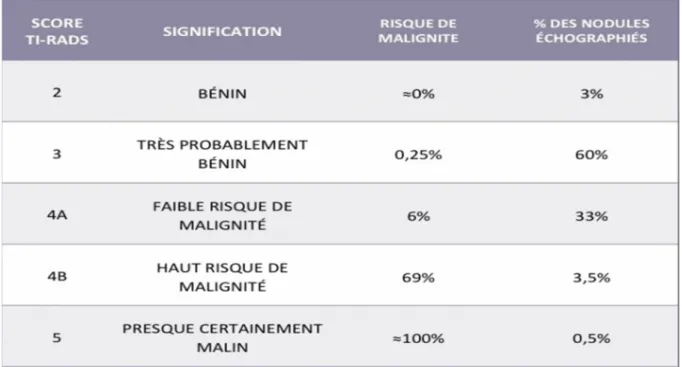 Figure 1 : classification TIRAD 