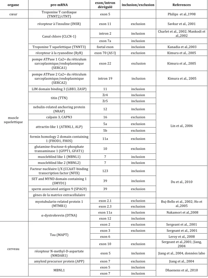 Tableau 5. Liste des principaux transcrits dérégulés dans la DM1  