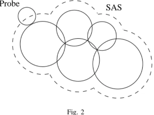 Figure 2 describes the SAS of the same molecule of five atoms.