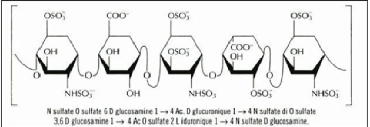 Figure 2: Schéma et formule du pentasaccharide [11]. 