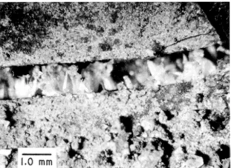 Figure  3.  Growth  of  gypsum  forces  shale  platelets  to  separate.  This  process  is  similar  to  ice  lensing in soils.