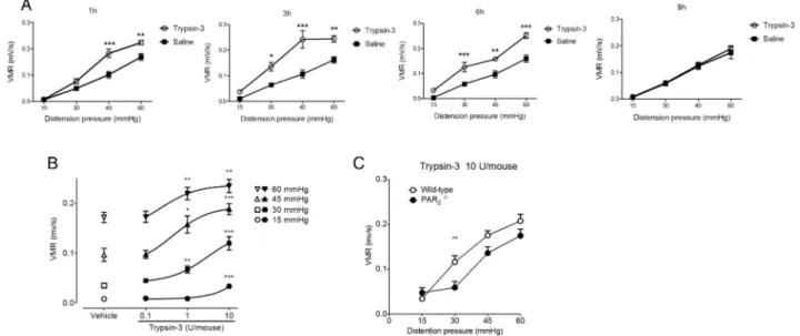 Figure 7 Colorectal administration of trypsin-3 induces visceral hypersensitivity. (A) Kinetic visceromotor response (VMR) to intracolonic administration of trypsin-3 (10 U/mouse) 1, 3, 6 and 9 hours after its administration