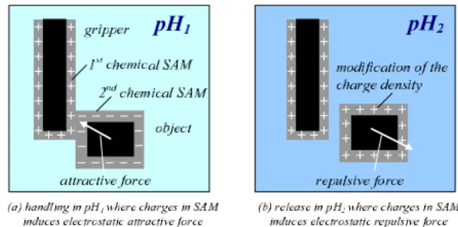 Fig. 1. Principle of the Robotic Microhandling controlled by Chemical Self Assembly Monolayer (SAM)
