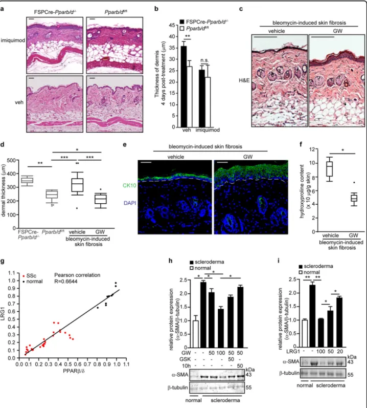 Fig. 6 PPAR β / δ and LRG1 reduce bleomycin-induced dermal ﬁ brosis. a Representative H&amp;E stained sections of FSPCre-Pparb/d −/− and Pparb/d ﬂ/ﬂ mice skin treated with imiquimod cream 4% daily for 4 days compared to vehicle-treated (Veh) cognate mice