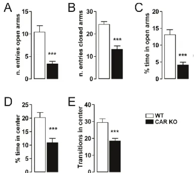 Figure  2  –  Anxiety-like  behavior  in  CAR  deficient  mice.  (A-B) Histograms indicate the number of entries  of CAR KO (n = 12) and WT mice (n = 12) in the open  and closed arms of the EPM