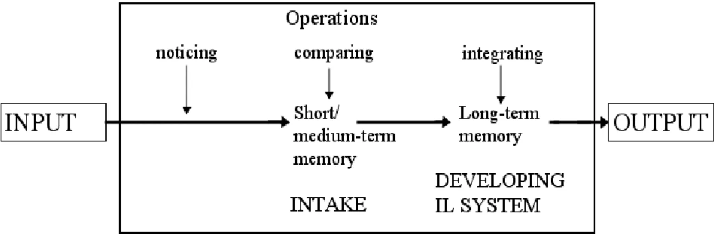 Figure 3.1: The process of learning implicit knowledge (Ellis, 1997: 119) 