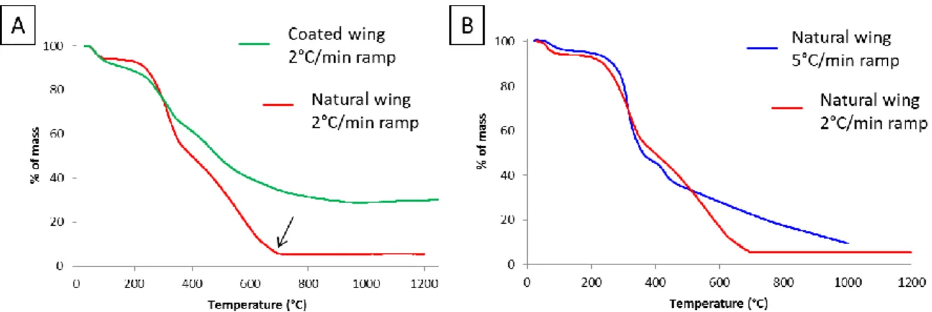 Fig.  8.  ThermoGravimetric  Analysis  (TGA)  of  our  samples.  Each  sample  corresponds  to  one  wing  and  is  cut  using  scissors:  (A)  Comparison  between  the  TGA  of a natural  Morpho menelaus wing (red curve) and a coated  one with  our titani