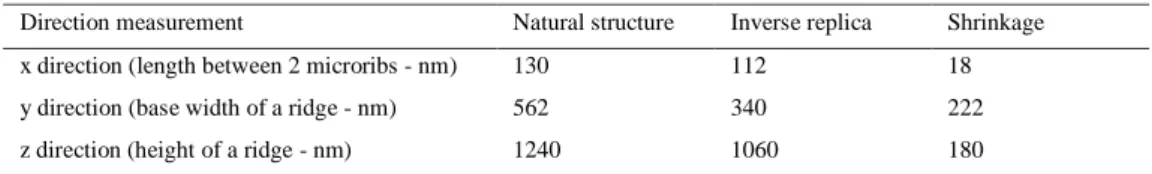 Table 1. Lengths measurements of natural and replicated scale structures 