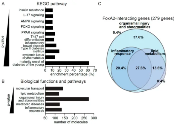 Figure 2. FoxA2 regulates genes associated with inflammation response to injury. (A,B) KEGG pathways (A) and top gene ontologies for biological functions (B) of FoxA2-regulated genes