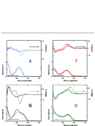 Fig. 2. UV (scale on left axis) and CD (scale on right axis) spectra of NLs prepared  in  water  (dashed  line),  in  0.9%  w/v  NaCl  solution  (diamond)  with  their  deoxynucleosides (solid line)