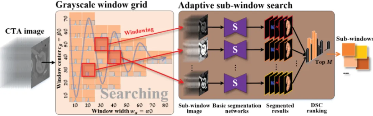 Figure 5: Our GIS strategy for our task-dependent grayscale distribution making the networks fine-grained feature representa- representa-tion