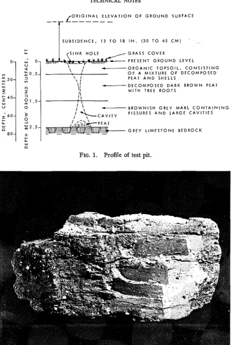 FIG. 1.  Profile  of  test pit. 