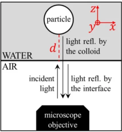 Fig. 4 (a, b, c, d) Frame sequence of interference pattern of a particle of radius 4.5 µm moving close to an air-liquid interface (red channel)