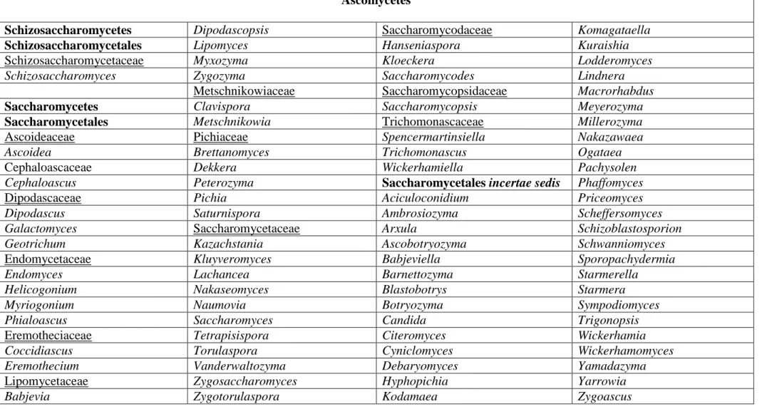 Tableau 1. Classification des levures Ascomycètes et Basidiomycètes (KURTZMAN et FELL, 2006 ; SUH et al., 2006)