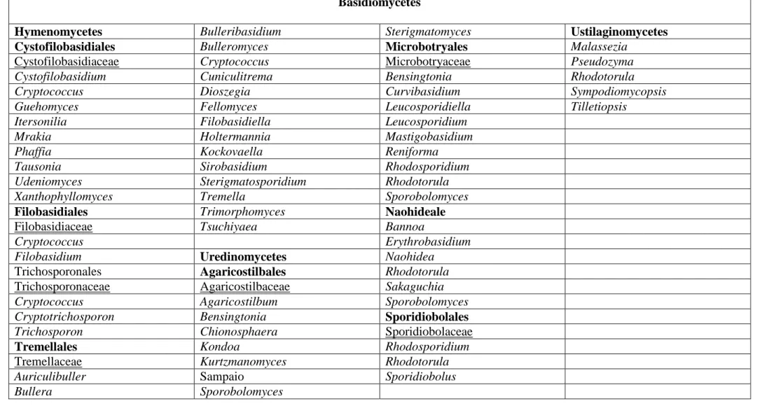 Tableau 1. Classification des levures Ascomycètes et Basidiomycètes d’après Kurtzman et Fell (2006) et Suh et al