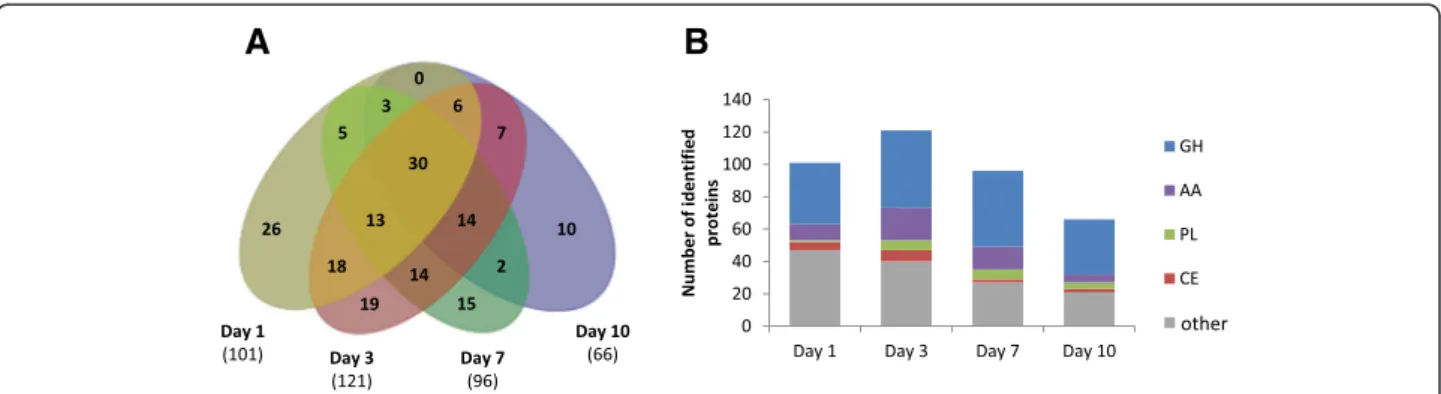 Figure 5 Time-course secretion of proteins upon growth on Avicel ™ . A: Venn diagram of the number of proteins detected and confidently identified by LC-MS/MS in the secretomes of Laetisaria arvalis at days 1, 3, 7 and 10 (from left to right)