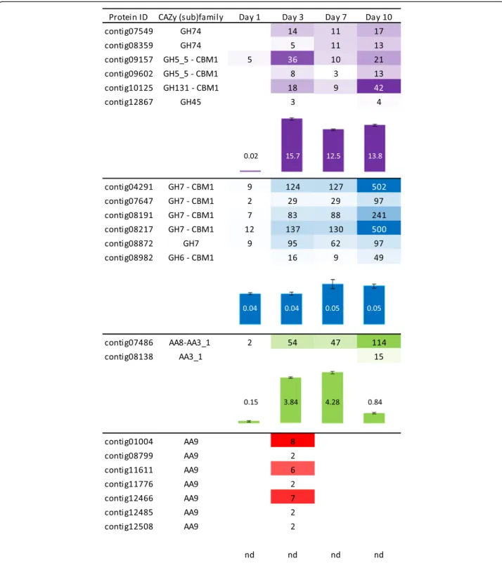 Figure 6 Time-course abundance of cellulose-acting enzymes in secretomes during growth on Avicel ™ 