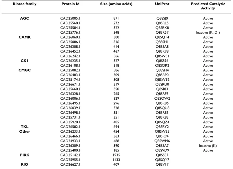Table 1: The 32 protein kinases of E. cuniculi split by kinase family