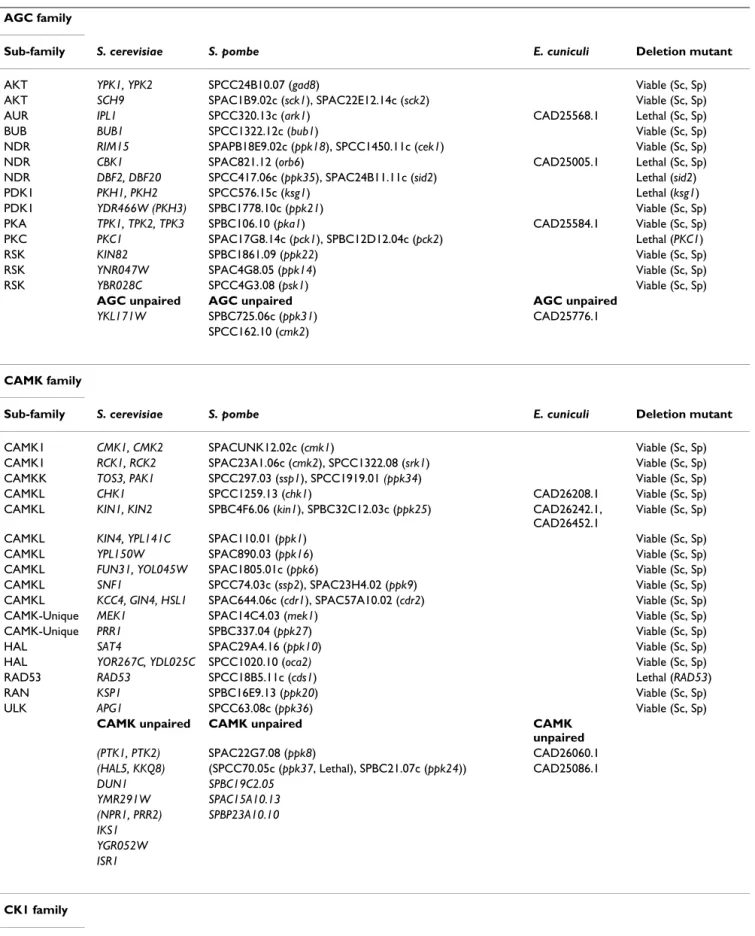 Table 3: Homology relationships between the kinomes of S. cerevisiae, S. pombe and E. cuniculi