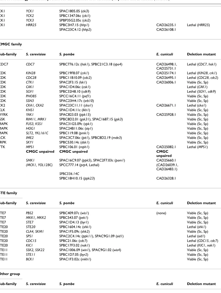 Table 3: Homology relationships between the kinomes of S. cerevisiae, S. pombe and E. cuniculi (Continued)