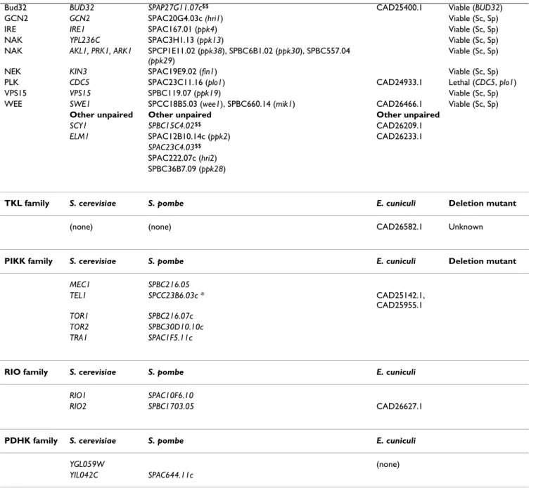 Table 3: Homology relationships between the kinomes of S. cerevisiae, S. pombe and E. cuniculi (Continued)