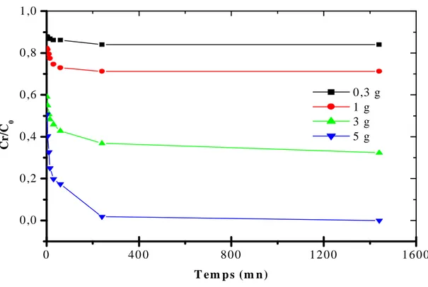 Figure 9 : Cinétique d'adsorption du bore  sur  le charbon actif. 
