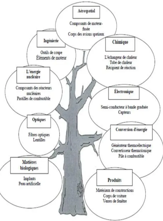 Figure I.8 : Les principaux domaines d’application des FGM (Houari. 2011) 