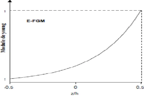 Figure I.11 :Variation du module de Young dans une plaque E-FGM. 