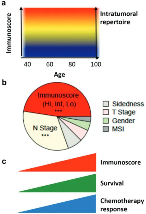 Figure 1. Clinical utility of the Immunoscore. (a) Immunoscore and intratumoral T-cell repertoire remain stable with age