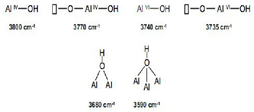 Fig. 9 : Représentation des différents hydroxyles selon Busca [40]