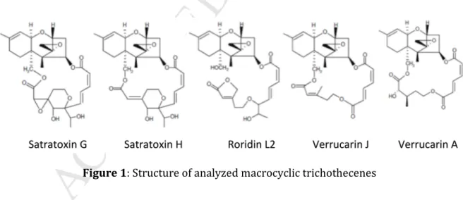 Figure 1: Structure of analyzed macrocyclic trichothecenes 