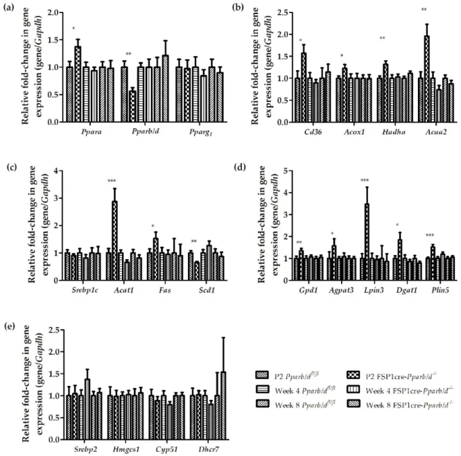 Figure 6. Effect of Pparb/d deletion on liver gene expression at P2, week 4, and week 8