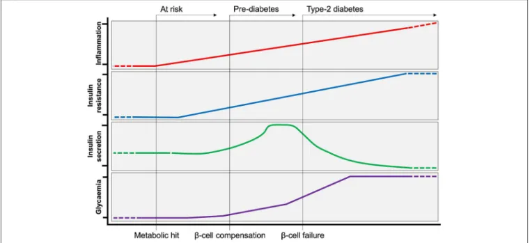 FIGURE 1 | Evolution of Type-2 Diabetes. Following a metabolic hit, inflammation is at the initial steps of developing type-2 diabetes (T2D)