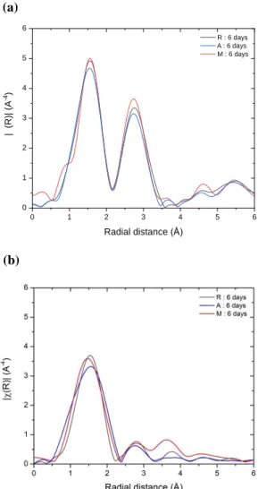 Figure 6. Fourier transforms (Δk = 3-8.5 Å -1 ) uncorrected for phase shift of k 3 -weighted Co K-edge  EXAFS spectra for Co(II)/-Al 2 O 3  on the R (1102), A(11  0) and M(10  0) planes for long adsorption  times (6 days)