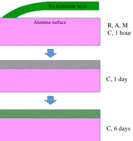 Figure 9. Scheme depicting the possible growth mode of cobalt deposits on the C surface from a cobalt  hydroxide  layer  present  on  surfaces  R,  A  et  M  whatever  the  adsorption  time  and  on  the  C  plane  at  short adsorption times only