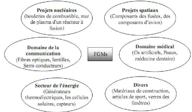 Figure I-4 : Les champs potentiels de l'application des FGMs. 
