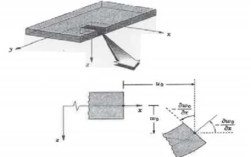 Figure II-1 : Illustration du modèle de la plaque de Love-Kirchhoff [31] 